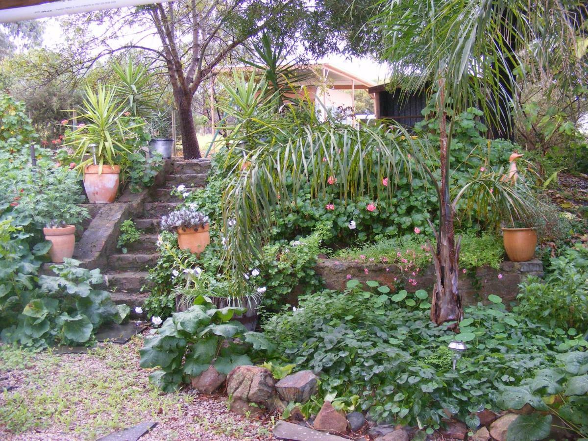 Trevalia Accommodation Penwortham Esterno foto