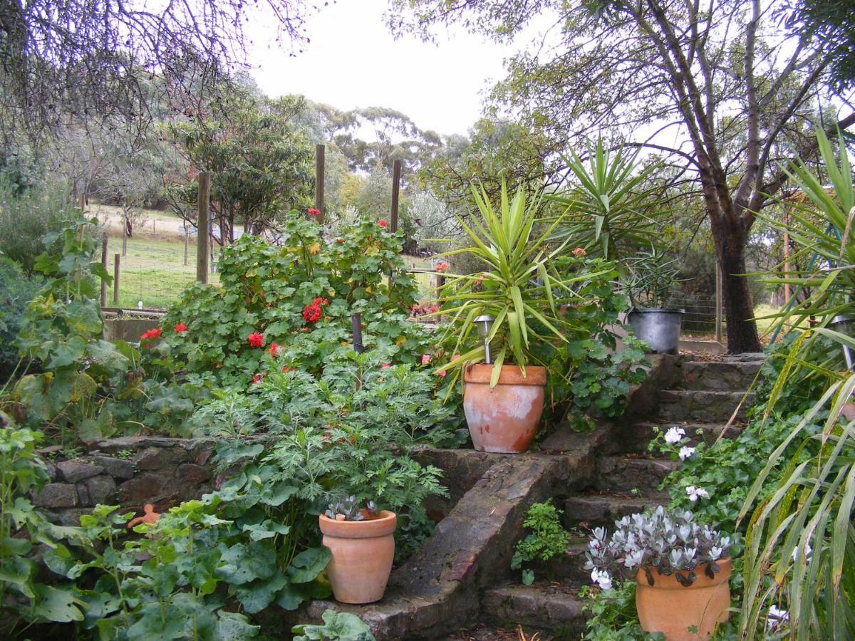 Trevalia Accommodation Penwortham Esterno foto